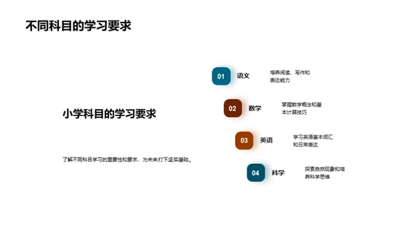 小学阶段的学习之旅