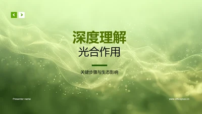 深度理解光合作用