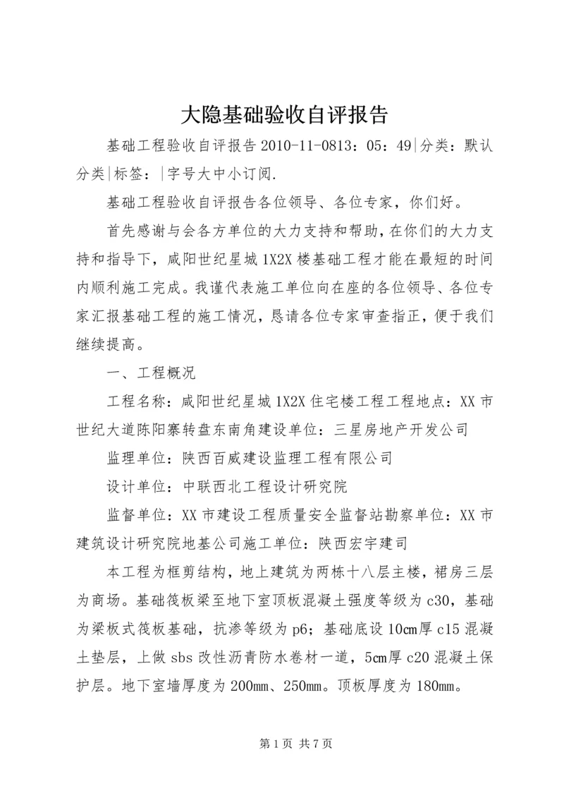 大隐基础验收自评报告 (4).docx