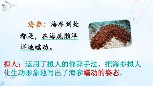 18.富饶的西沙群岛   课件