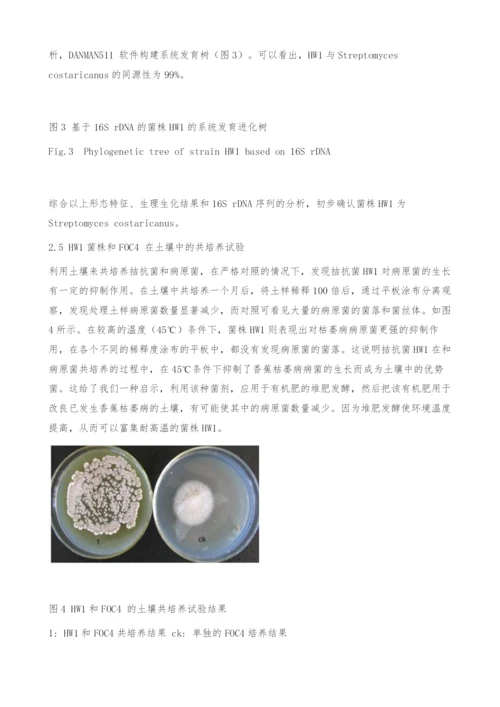 一株拮抗香蕉枯萎病的链霉菌的分离和鉴定[-]-共培养.docx