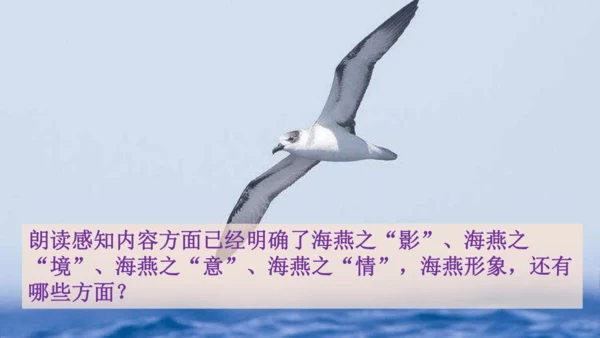 4《海燕》课件
