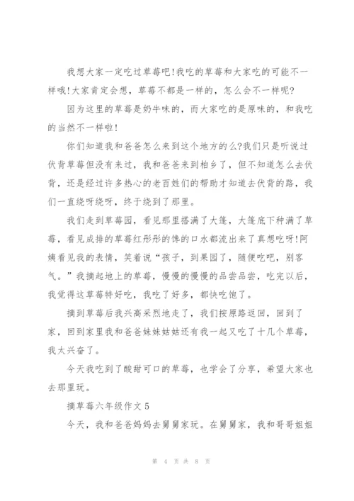 摘草莓六年级作文10篇.docx