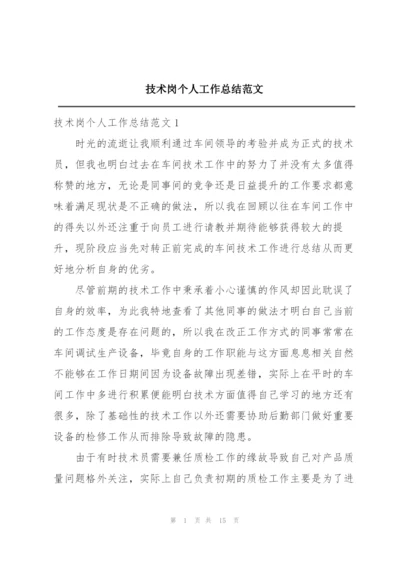 技术岗个人工作总结范文.docx