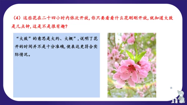 统编版三年级语文下学期期中核心考点集训第四单元（复习课件）