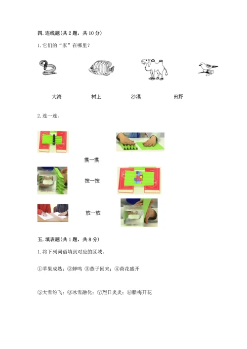教科版二年级上册科学期末测试卷【精华版】.docx