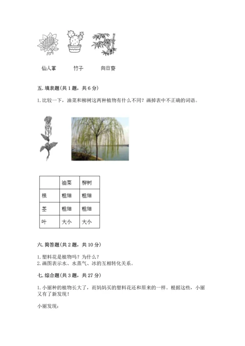 教科版科学一年级上册第一单元《植物》测试卷带答案（典型题）.docx