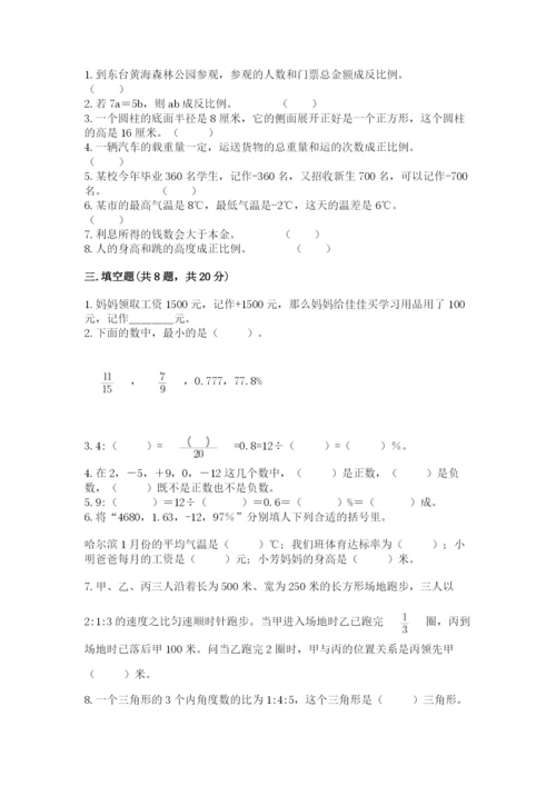 人教版六年级下册数学期末测试卷【学生专用】.docx