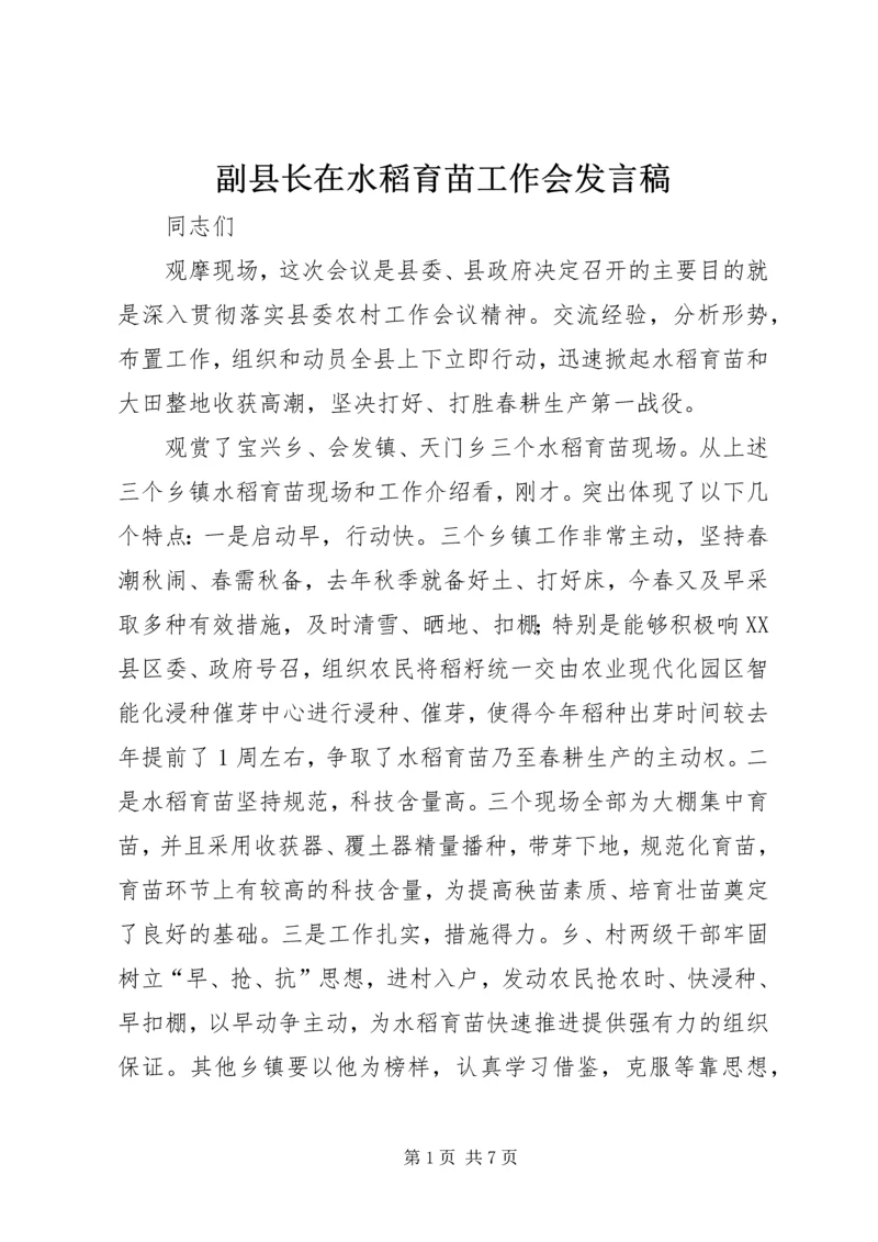 副县长在水稻育苗工作会发言稿.docx