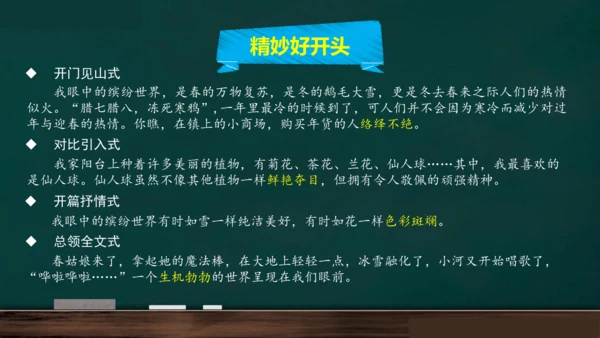 统编版语文三年级上册 第五单元习作： 我们眼中的缤纷世界课件