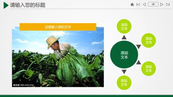 农业农村粮食大丰收金色麦田通用PPT模板