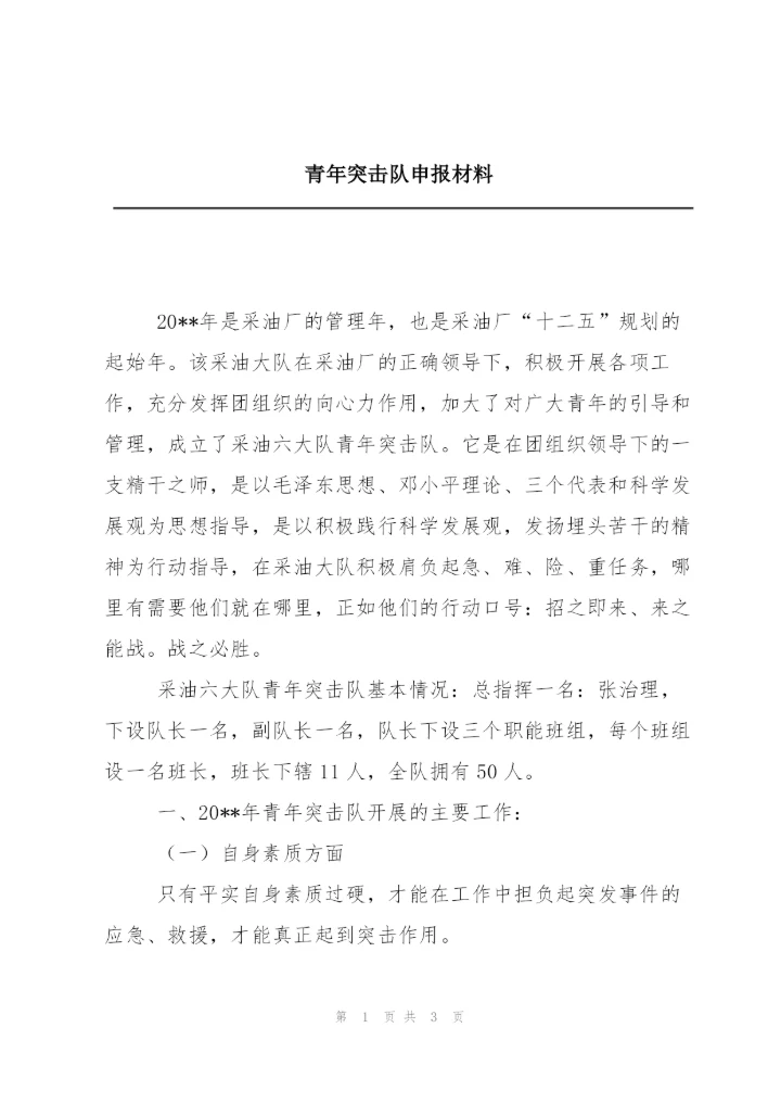 青年突击队申报材料.docx