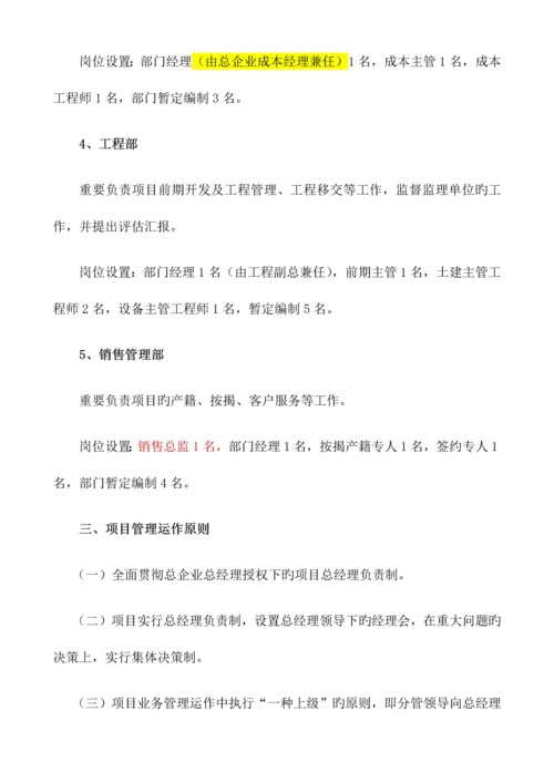 项目管理手册.docx