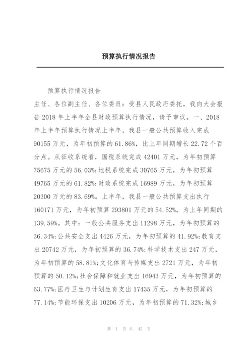 预算执行情况报告.docx