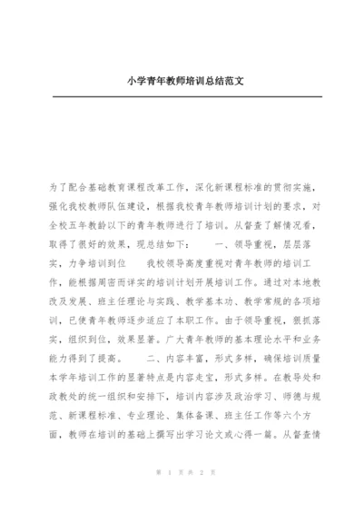 小学青年教师培训总结范文.docx
