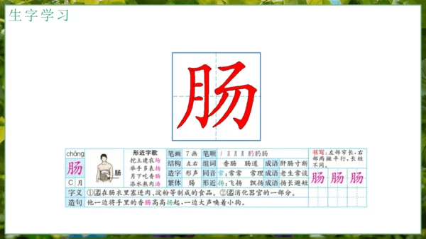 5我变成了一棵树   课件