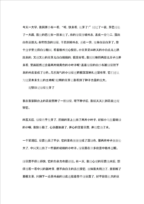 绿豆发芽过程观察日记绿豆发芽观察日记作文