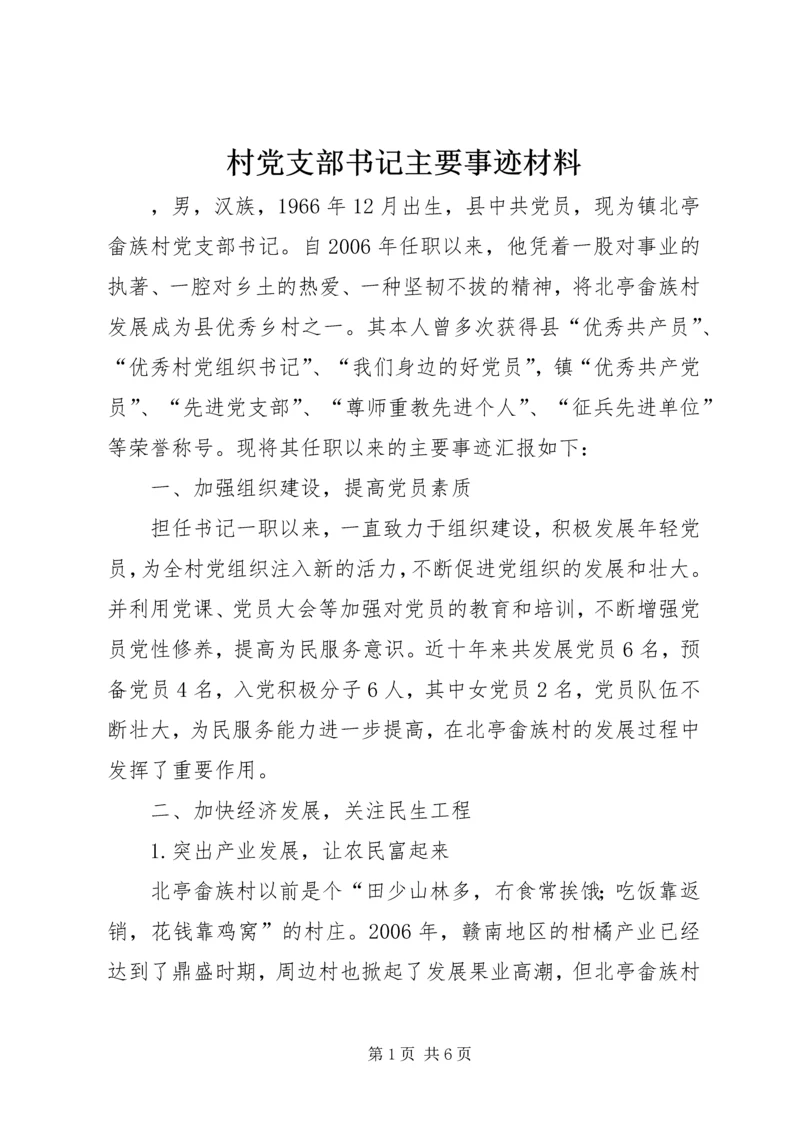 村党支部书记主要事迹材料.docx