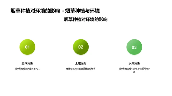 绿色烟草：实现可持续种植