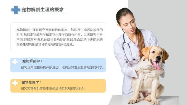 实拍风宠物解剖生理宠物解剖生理讲座PPT
