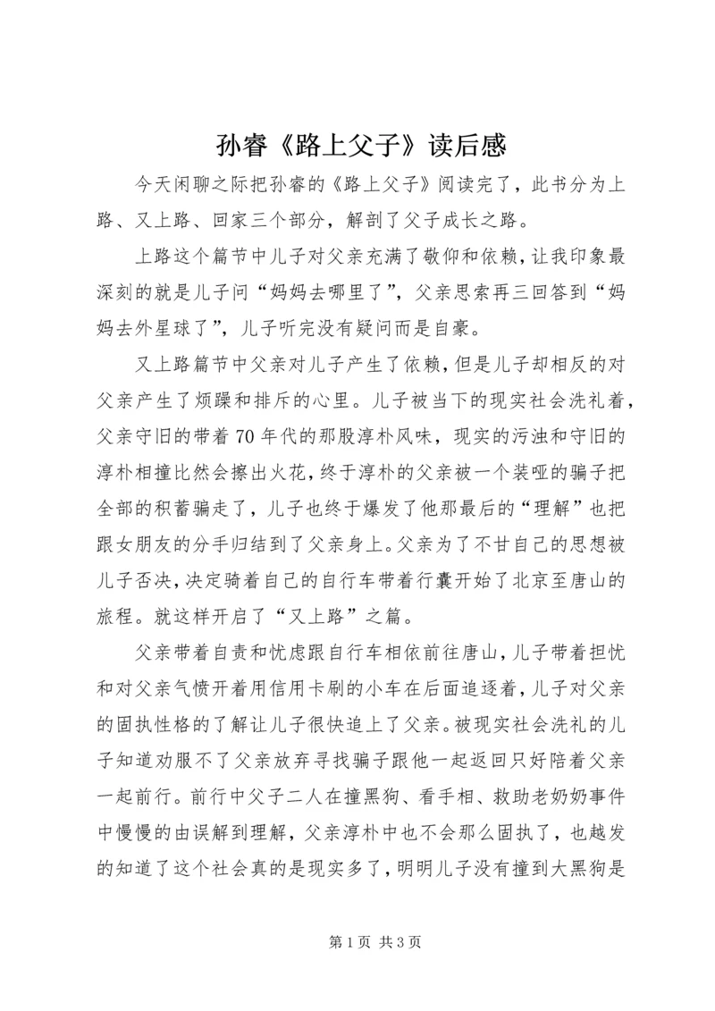 孙睿《路上父子》读后感.docx