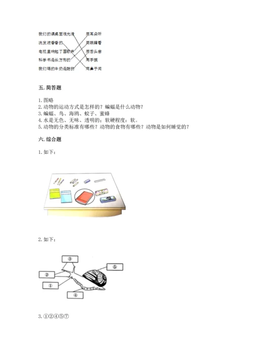 教科版一年级下册科学期末测试卷带答案（最新）.docx