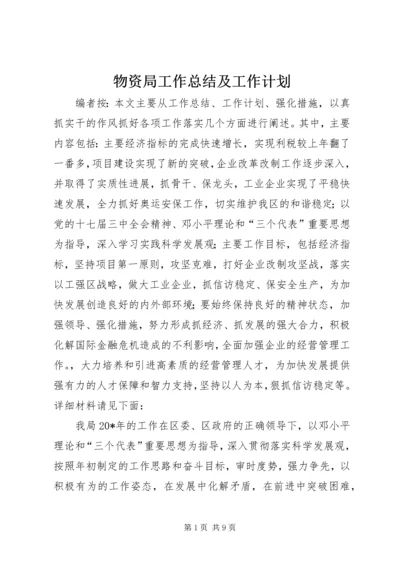 物资局工作总结及工作计划.docx