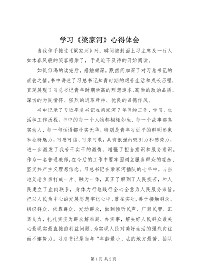 学习《梁家河》心得体会 (14).docx