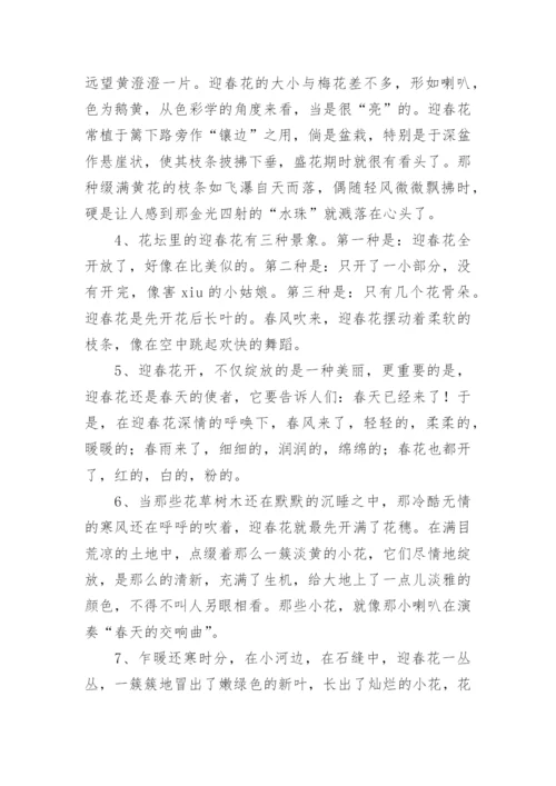描写迎春花好句好段.docx