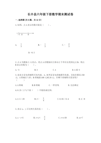 长丰县六年级下册数学期末测试卷及一套完整答案.docx