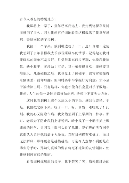 难忘的回忆作文.docx