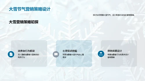 大雪营销策略解析