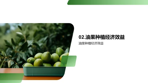 油果产业：未来新贵