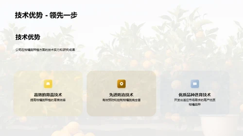 柑橘产业：未来之路