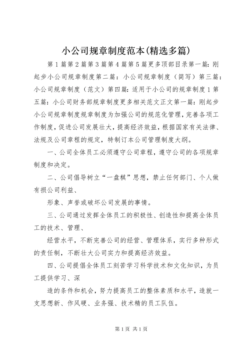 小公司规章制度范本(精选多篇).docx