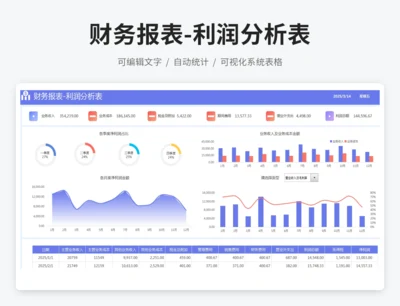 财务报表-利润分析表