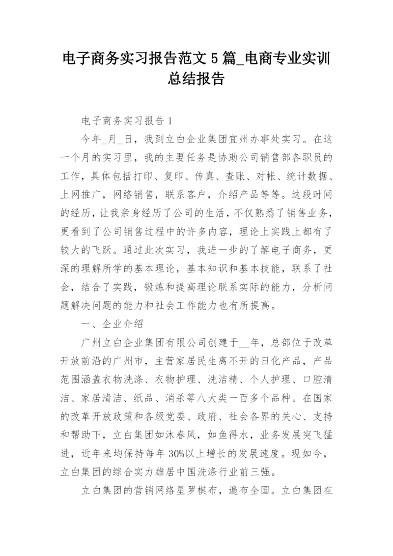 电子商务实习报告范文5篇_电商专业实训总结报告.docx