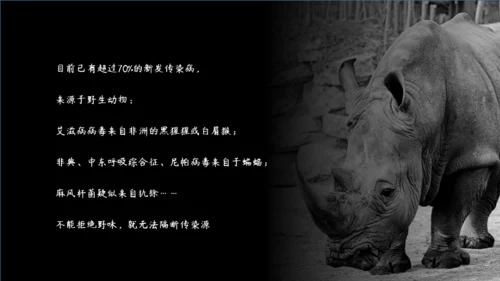 敬畏自然尊重生命保护动物大象通用PPT模板