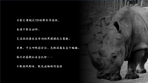 敬畏自然尊重生命保护动物大象通用PPT模板