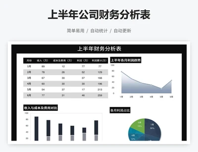 上半年公司财务分析表