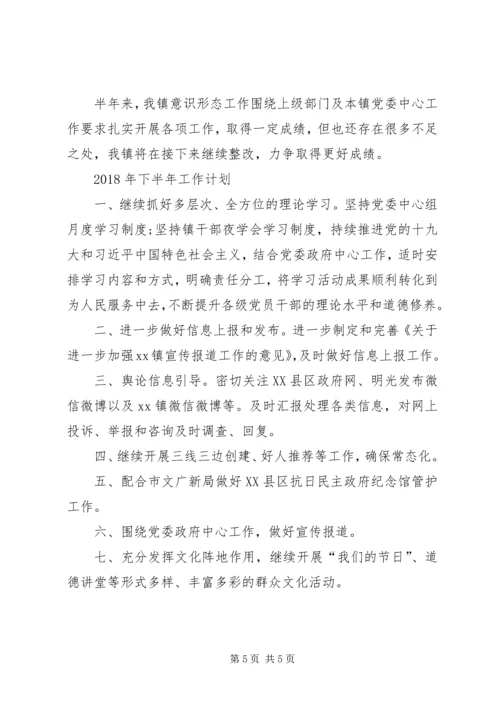 乡镇某年上半年度宣传思想文化工作落实总结及某年下半年工作计划.docx