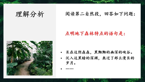 地下森林作家张抗抗作品解读PPT课件