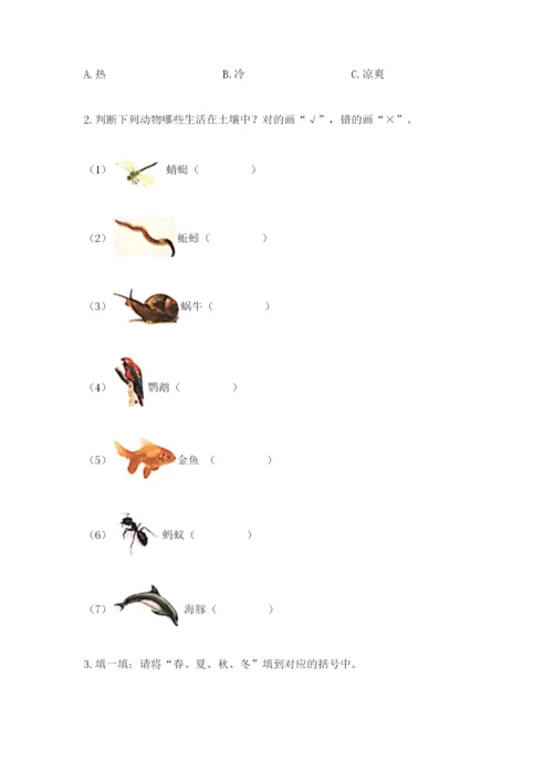 教科版二年级上册科学期末测试卷【典优】.docx