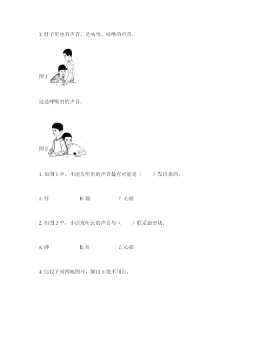 教科版二年级下册科学知识点期末测试卷及参考答案（完整版）.docx