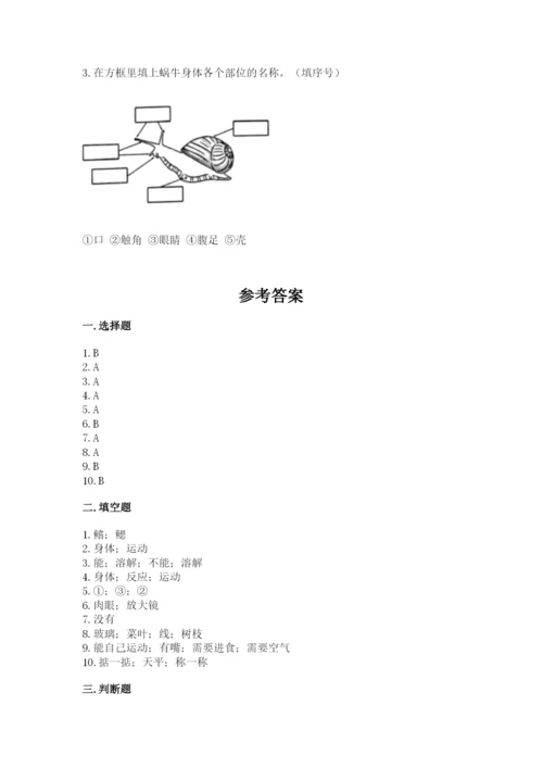 教科版一年级下册科学期末测试卷及完整答案【全国通用】.docx