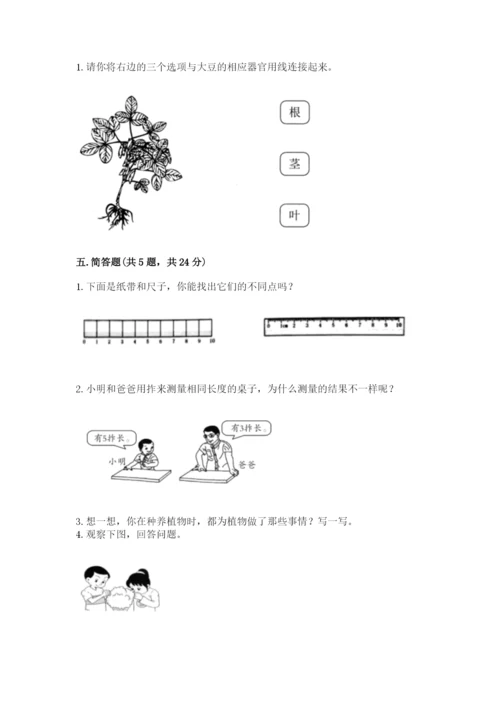 教科版一年级上册科学期末测试卷有完整答案.docx