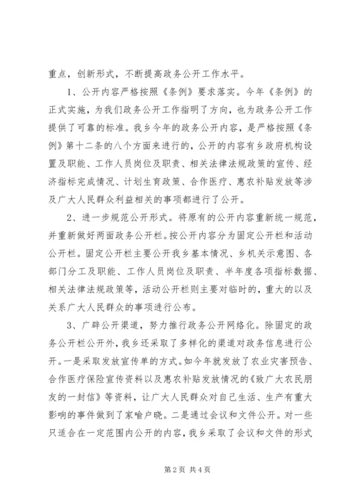 乡镇政务公开总结_1.docx