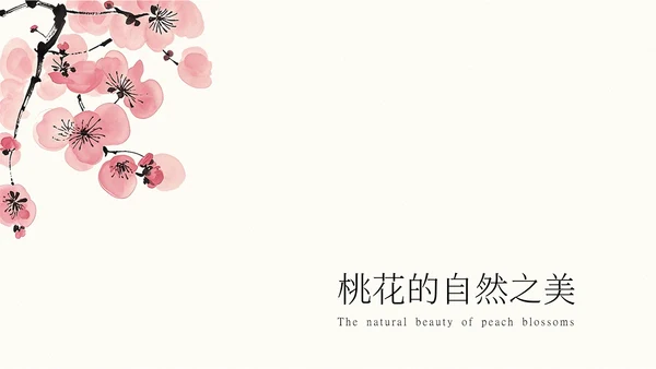 粉色水墨风桃花介绍PPT模板