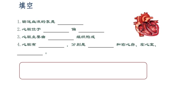 初中生物学人教版（新课程标准）七年级下册4.4.3输送血液的泵──心脏课件(共27张PPT)