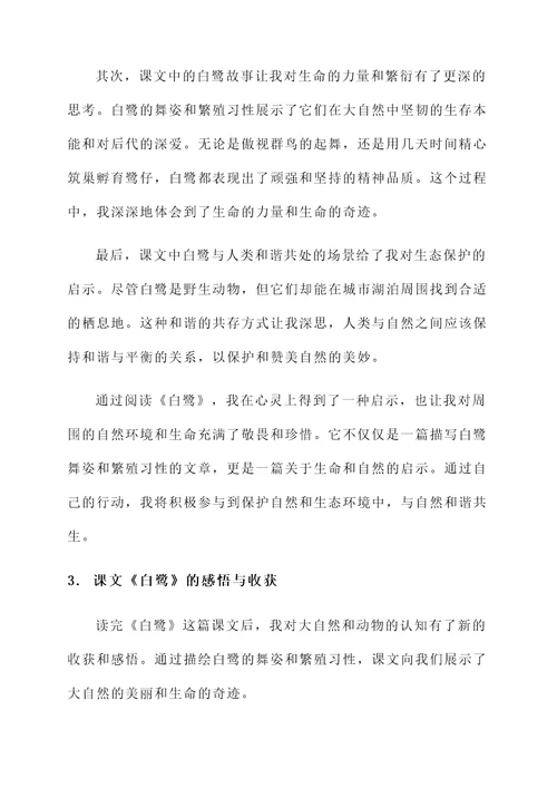 关于白鹭的课文感想